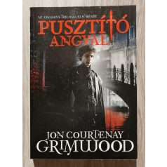 Jon Courtenay Grimwood: Pusztító angyal