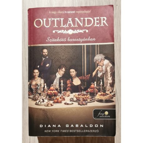 Diana Gabaldon: Outlander - Szitakötő borostyánban (filmes borítóval)