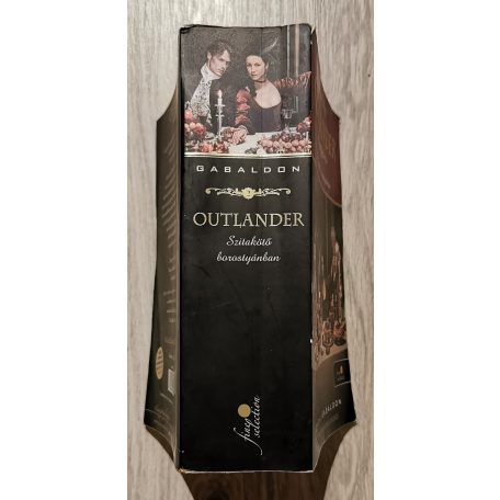 Diana Gabaldon: Outlander - Szitakötő borostyánban (filmes borítóval)