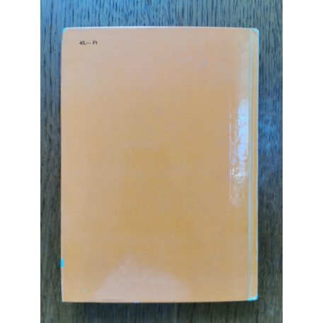 Mészáros Ferenc-Moldvai Tibor: Hogyan javítsam a motorkerékpáromat?