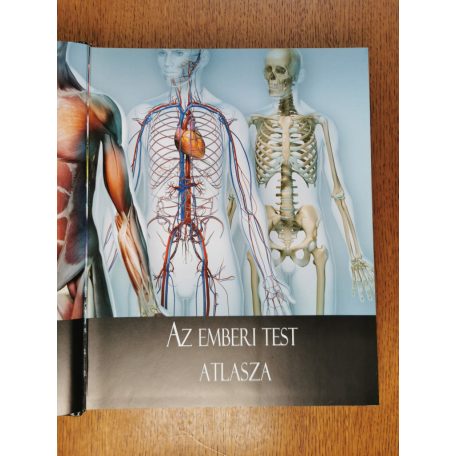 Beverly McMillan: Az emberi test atlasza