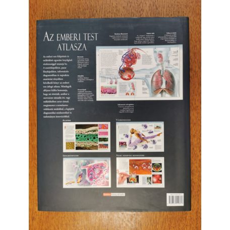 Beverly McMillan: Az emberi test atlasza