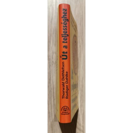 Thorwald Dethlefsen - Rüdiger Dahlke: Út a teljességhez (A betegség jelentése és jelentősége)