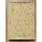 Antalóczy Zoltán, Dr.: Tudomány és művészet: Leonardo da Vinci anatómiai rajzai 