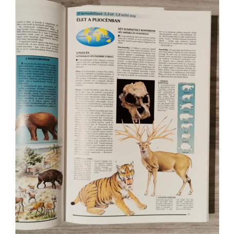 Larousse: A természet enciklopédiája: Földünk növény- és állatvilága 