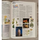 Larousse: A természet enciklopédiája: Földünk növény- és állatvilága 