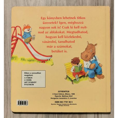 Matthew Wolf: Ablakos könyv - A város