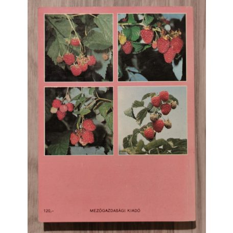 Kollányi László, Dr: (szerk.): Málna