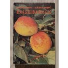 Nyujtó Ferenc-Surányi Dezső: Kajszibarack