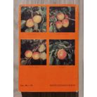 Nyujtó Ferenc-Surányi Dezső: Kajszibarack