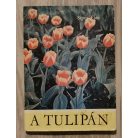 Sipos Elek: A tulipán