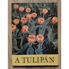 Sipos Elek: A tulipán