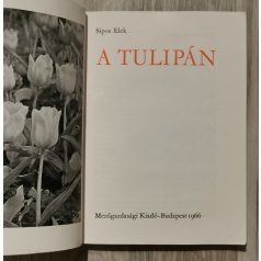 Sipos Elek: A tulipán