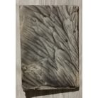 Palágyi Lajos: A hangyák (Szatirikus könyv) (Dedikált) 