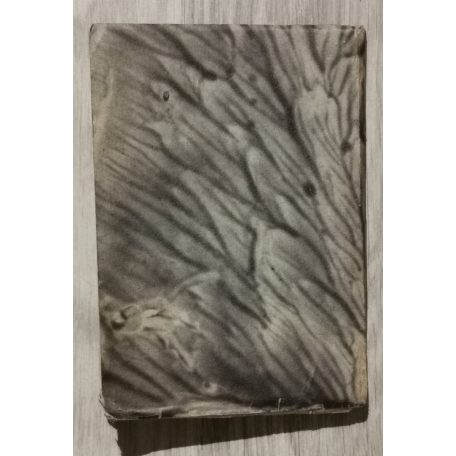 Palágyi Lajos: A hangyák (Szatirikus könyv) (Dedikált) 