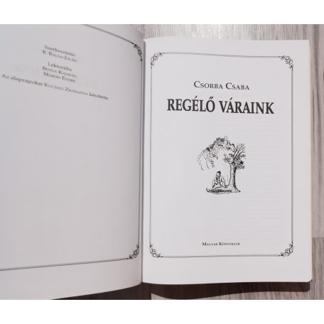 Csorba Csaba: Rejtélyes váraink