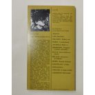 Abe Kóbó: A homok asszonya 