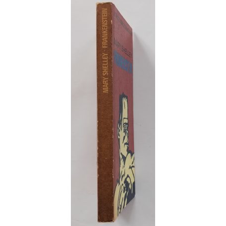 Mary Shelley: Frankenstein 