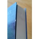 Karen Essex: A szerelmes Drakula