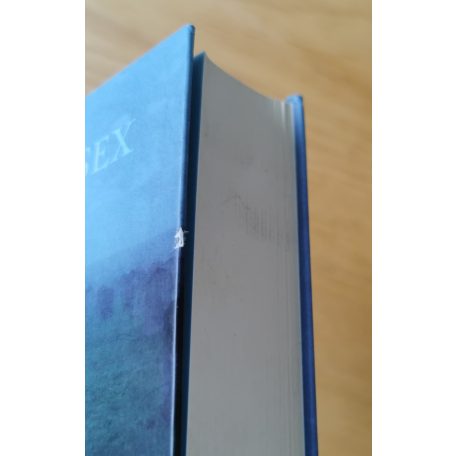 Karen Essex: A szerelmes Drakula