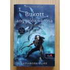 Cassandra Clare: A végzet ereklyéi 1-6.