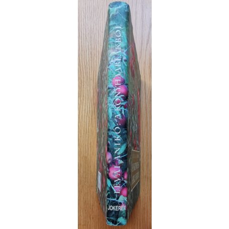 Lévai Anikó: A konyhaablakból (Dedikált)