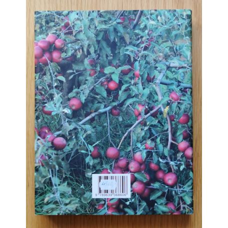 Lévai Anikó: A konyhaablakból (Dedikált)