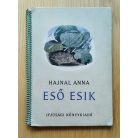 Hajnal Anna: Eső esik