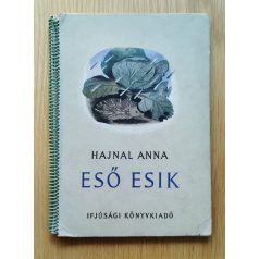 Hajnal Anna: Eső esik