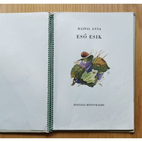 Hajnal Anna: Eső esik