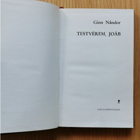 Gion Nándor: Testvérem, Joáb 
