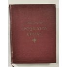 Selma Lagerlöf: Csodálatos utazás