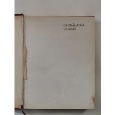 Selma Lagerlöf: Csodálatos utazás