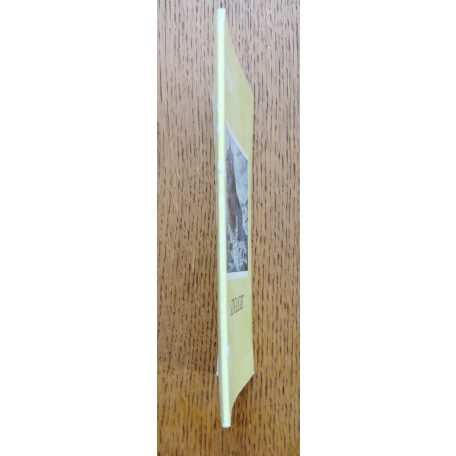 Kozák Károly: Szigliget (Műemlékeink) 