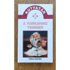 Varga Mónika: A yorkshire terrier