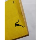 Rejtő Jenő (P. Howard): A megkerült cirkáló