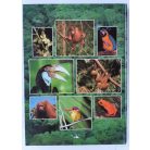 Rupert Matthews: Trópusi esőerdők a Földön