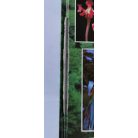 Rupert Matthews: Trópusi esőerdők a Földön