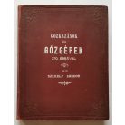 Székely Sándor: Gőzkazánok és gőzgépek (270 ábrával)
