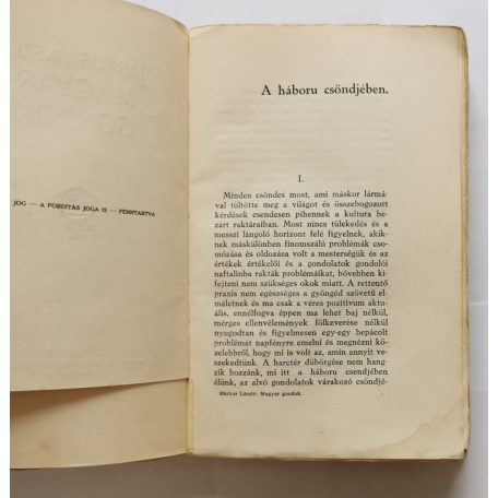 Márkus László: Magyar gondok