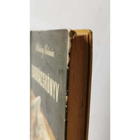 Sztrókay Kálmán: Barkácskönyv