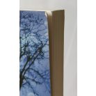 Choa Kuk Sui: Telepatikus önvédelem