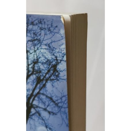 Choa Kuk Sui: Telepatikus önvédelem