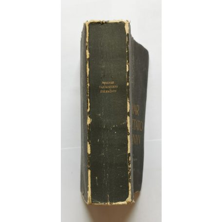 Perényi Zsigmond: Magyar tájékoztató zsebkönyv