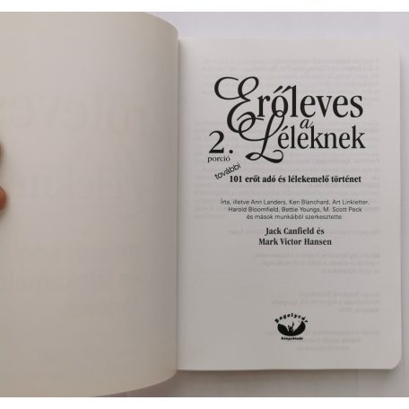 Jack Canfield-Mark Victor Hansen: Erőleves a léleknek 2.