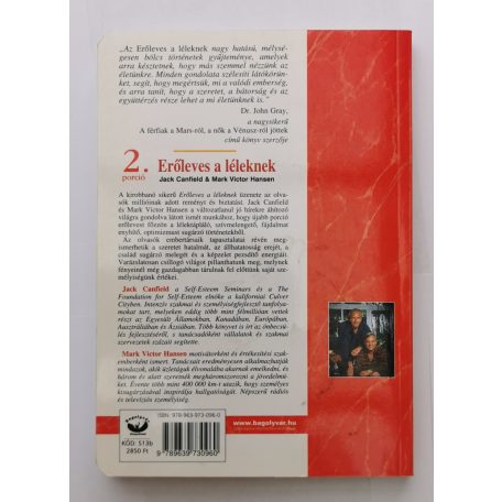 Jack Canfield-Mark Victor Hansen: Erőleves a léleknek 2.