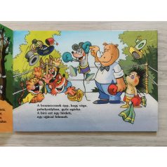   Mikes Lajos: Sanyi manó könyve - Heinzelmann Emma színes rajzaival