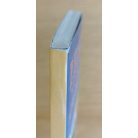 Rejtő Jenő: Az ellopott század