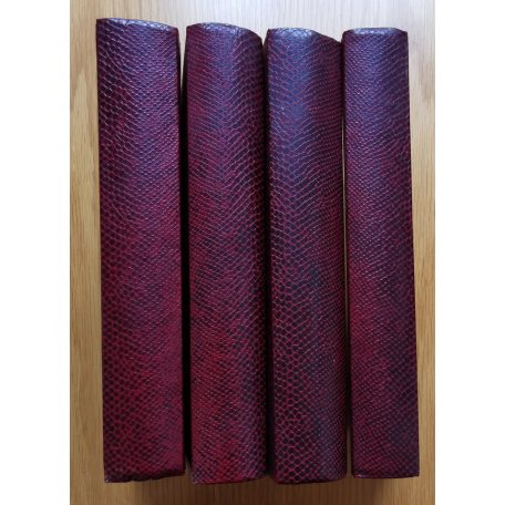 Lovag Vlad Zniemsky: A vörös álarcos  (folytatásos regény - Képes Regény Újság 1-176.)