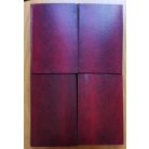 Lovag Vlad Zniemsky: A vörös álarcos  (folytatásos regény - Képes Regény Újság 1-176.)